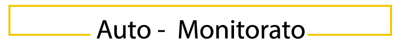 Auto - Monitorato