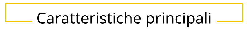 Caratteristiche principali