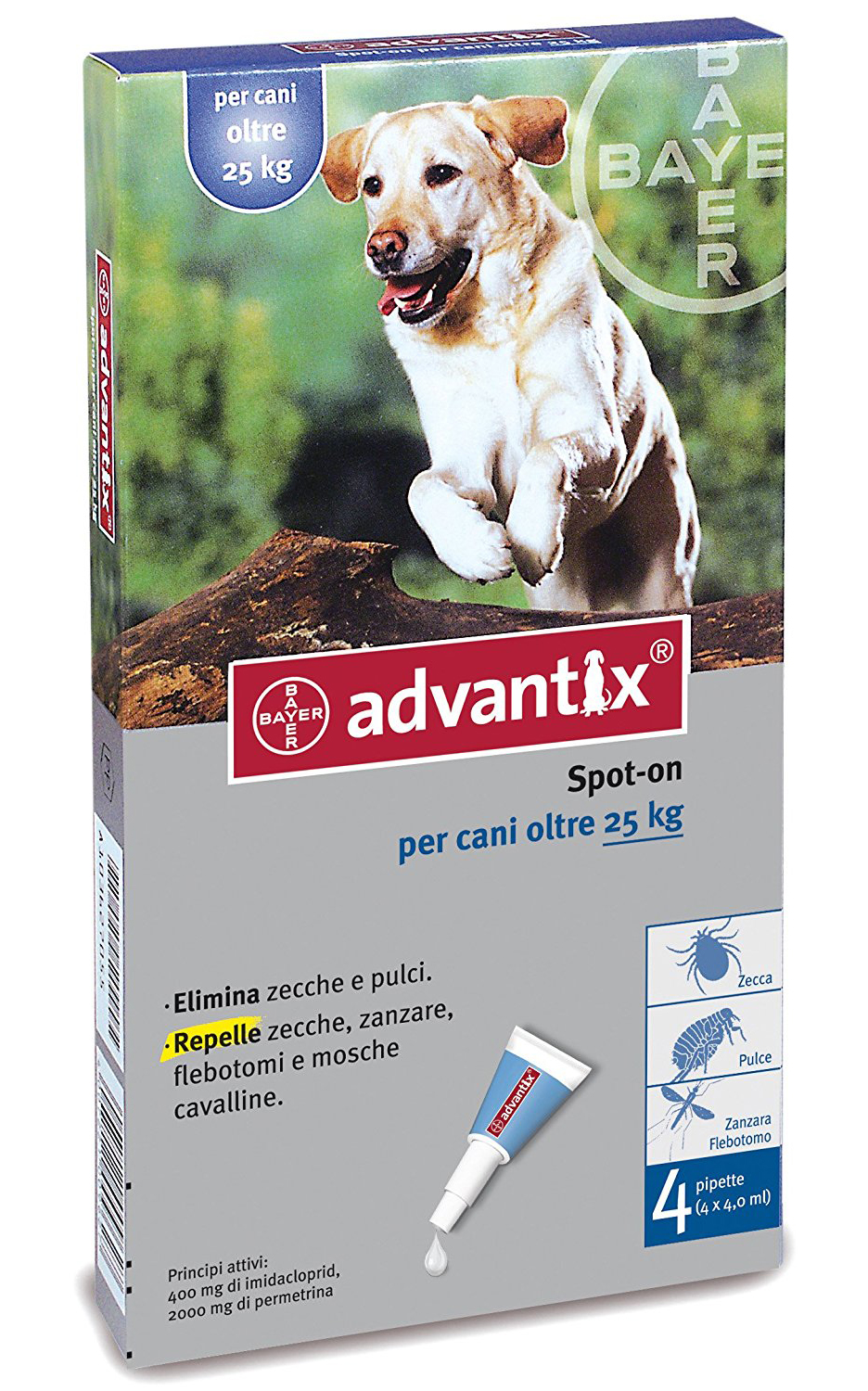 I 4 Migliori Antiparassitari per Cani Guida All'Acquisto [Marzo 2021]