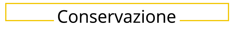 Conservazione