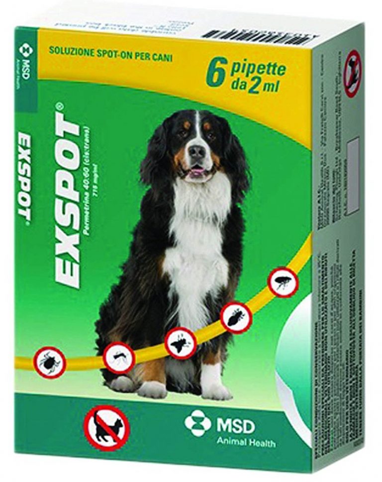 I 4 Migliori Antiparassitari per Cani Guida All'Acquisto [Marzo 2021]